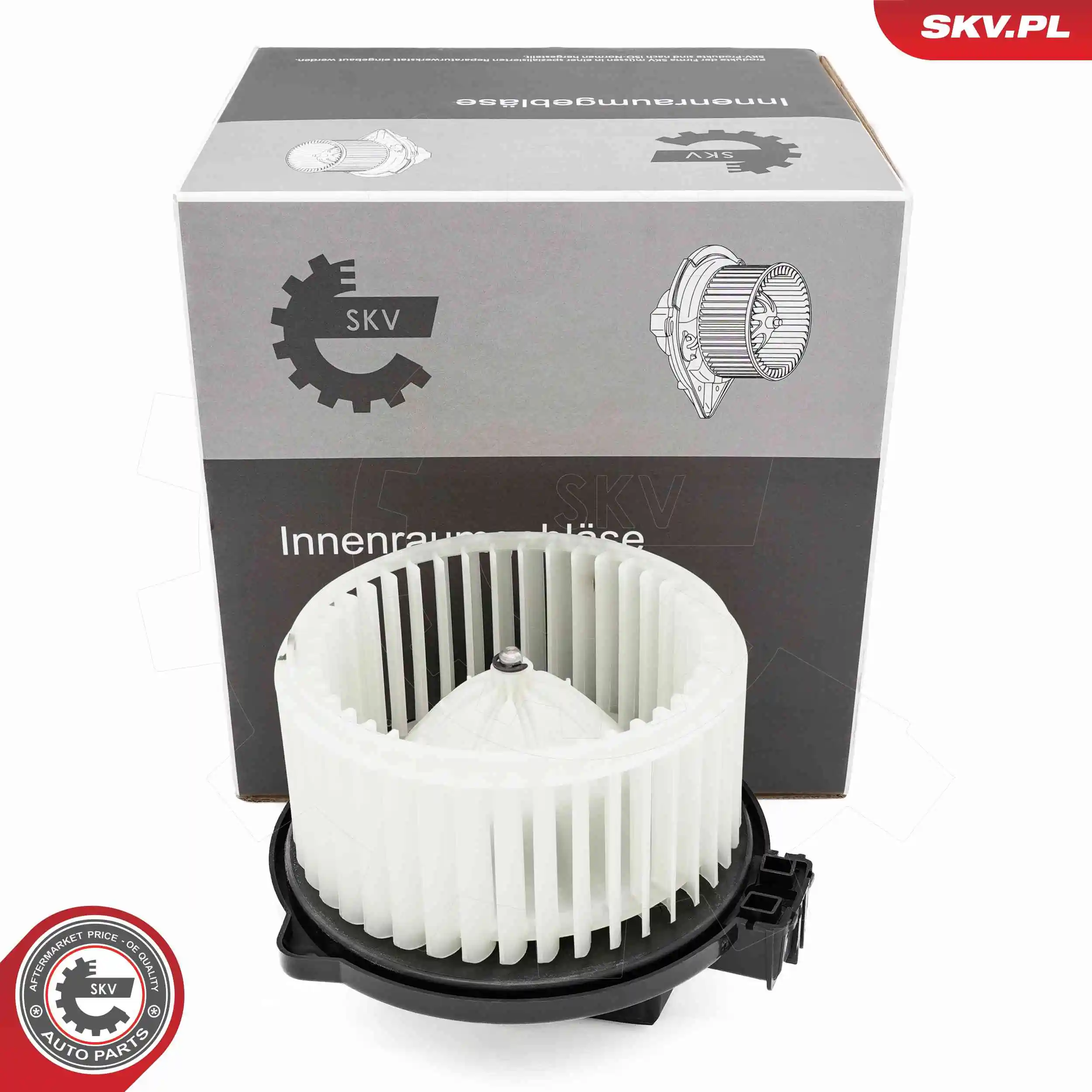 Interior Blower